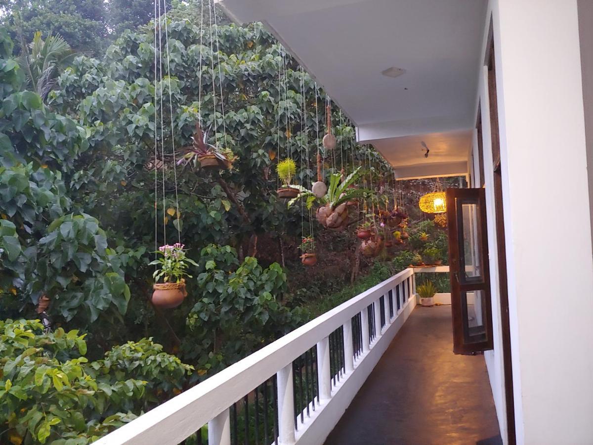 Daasa Guest Mirissa Otel Dış mekan fotoğraf