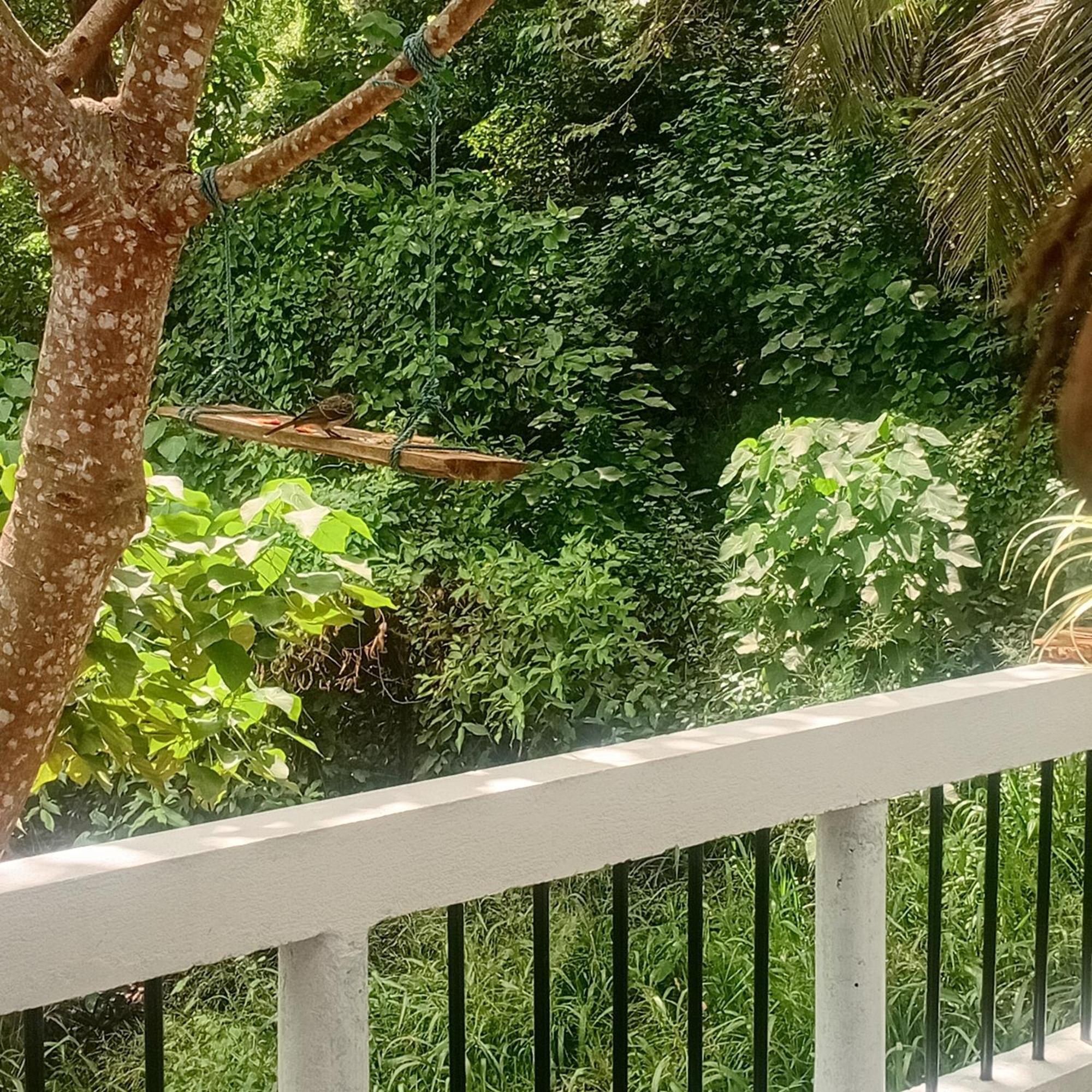 Daasa Guest Mirissa Otel Dış mekan fotoğraf